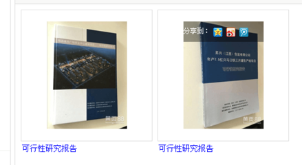 南昌聚星企業(yè)管理咨詢(xún)有限公司 專(zhuān)業(yè)可行性研究報(bào)告服務(wù)提供商